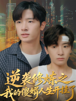 逆袭修炼之我的傻婿人生开挂了（65集）热门短剧推荐网站