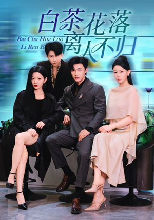 白茶花落离人（51集）火爆短剧推荐抢先看全集
