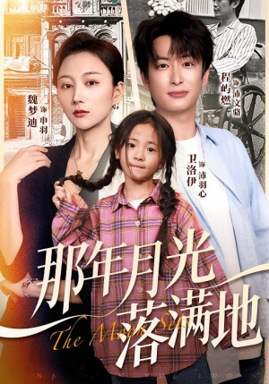 那年月光落满地（60集）常回家看看短剧