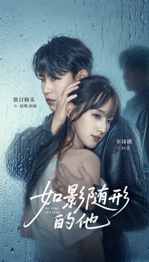 如影随形的他（30集）短剧推荐超甜网剧