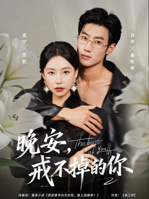 晚安，戒不掉的你（68集）在线免费观看热门短剧大结局