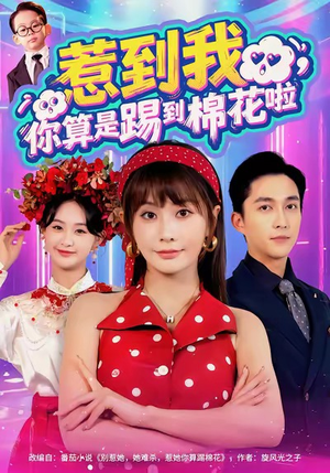 惹到我,你算是踢到棉花啦(67集) 惹到我,你算是踢到棉花啦(67集)终于可以免费观看短剧了