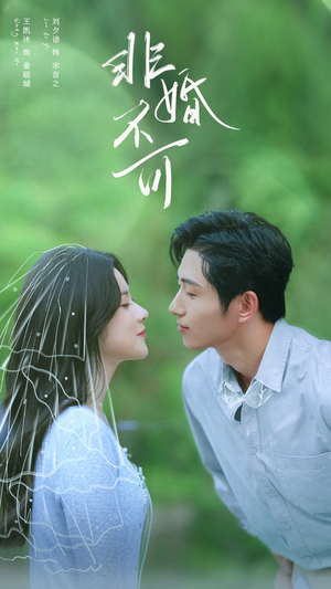 非婚不可(65集) 非婚不可(65集)哪个网站可以看短剧