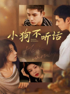 小狗不听话(70集) 小狗不听话(70集)悟空游览器免费看短剧