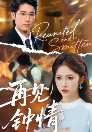 再见钟情（100集）精彩短剧在线观看