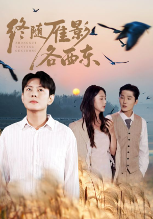 终随雁影各西东（86集）短剧大结局完整版免费看