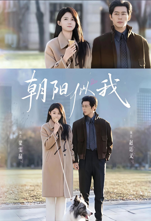 朝阳似我（81集）在线免费观看热门短剧大结局