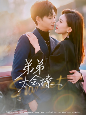 弟弟太会撩(81集) 弟弟太会撩(81集)热门短剧推荐精彩片段