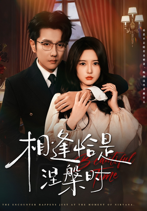 相逢恰是涅槃时（63集）重生短剧免费看全集