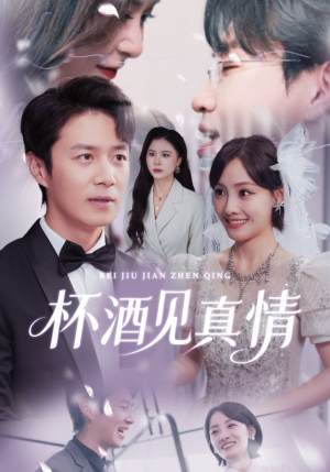 杯酒见真情（68集）一口气看完全集短剧