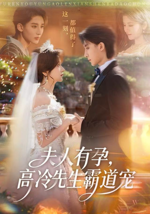 夫人有孕，高冷先生霸道宠（60集）短剧免费在线看全集