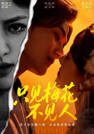 只见梅花不见人（63集）大结局一气呵成的短剧精选