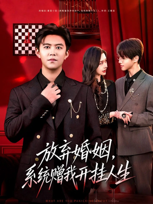 放弃婚姻，系统赠我开挂人生（60集）免费看全网影视短剧动漫
