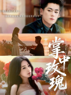 掌中玫瑰（60集）短剧越看越精彩