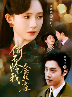 何不怜我金丝雀（60集） 火爆短剧抢先看