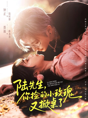 陆先生，你捡的小玫瑰又掀桌了（74集）超火热门短剧抢先看