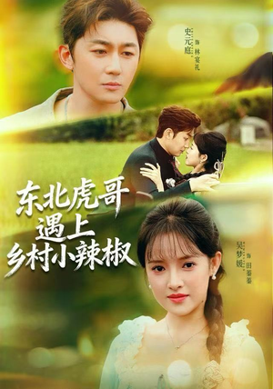 东北虎哥遇上乡村小辣椒（67集）精彩短剧持续更新