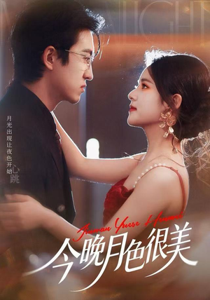 今晚月色很美（65集）短剧抢先看全集