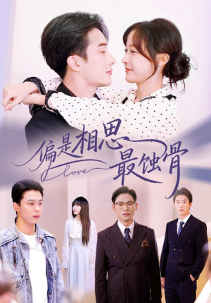 烬爱无归处（70集）好看短剧不容错过