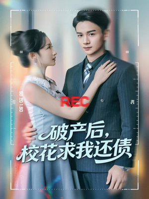 破产后，校花求我还债（80集）零成本看完的短剧集合推荐