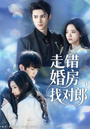 走错婚房找对郎（50集） 高清画质短剧免费看