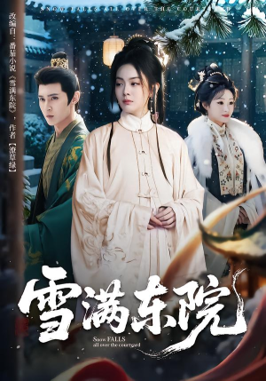 雪满东院（60集）热门短剧排行榜