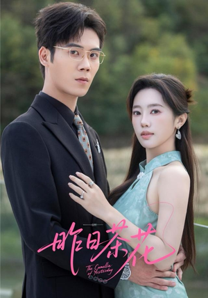 昨日茶花（56集）每日短剧追不停