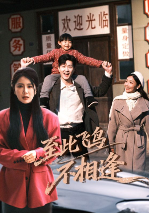 至此飞鸟不相逢(70集) 至此飞鸟不相逢(70集)精彩短剧片段分享