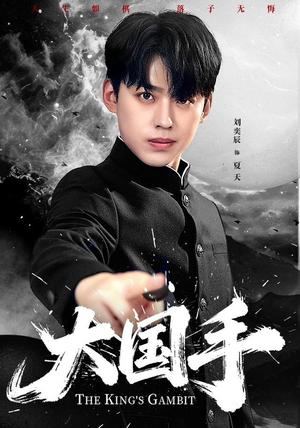 大国手（76集）免费观看全集的短剧网站精选