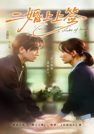 二婚上上签（71集）好看又精彩的短剧