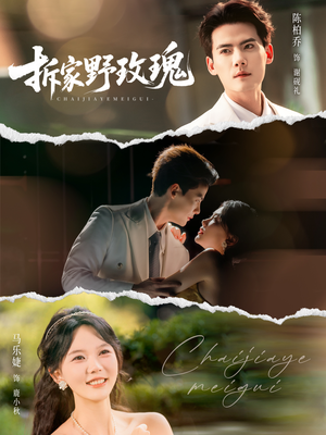 拆家野玫瑰（80集）全集短剧都在这里了