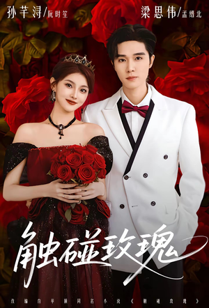 触碰玫瑰（80集）这部短剧让人心动了