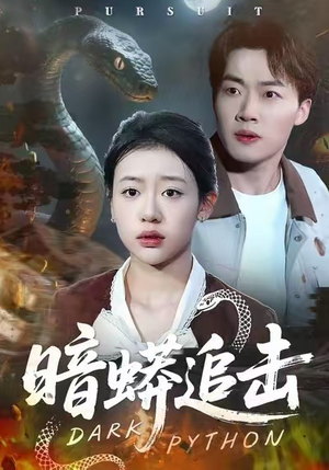 暗蟒追击（35集）番茄小说免费看短剧