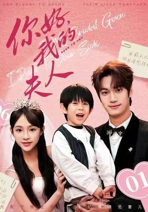 顾总，我才是你的夫人（65集）免费观看排行榜前十短剧全集