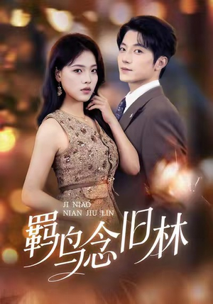 羁鸟念旧林（60集）热门短剧推荐。