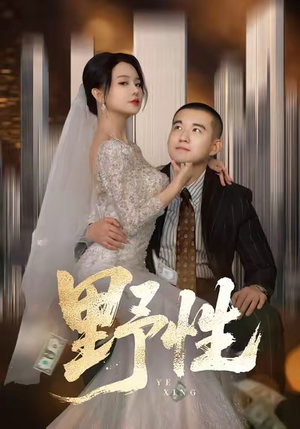 分手后，顶头上司要嫁我（70集）看短剧放松一下