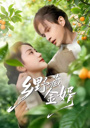 乡野藏金婿（50集）无需会员短剧轻松看