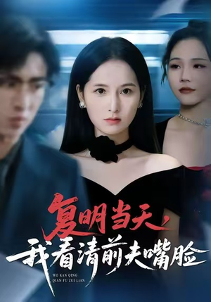 复明当天,我看清前夫嘴脸(50集) 复明当天,我看清前夫嘴脸(50集)火爆短剧热播中