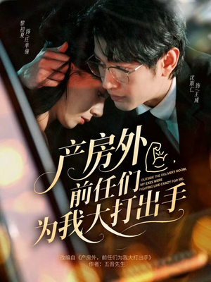 产房外，前任们为我大打出手（79集）红果免费短剧看全集