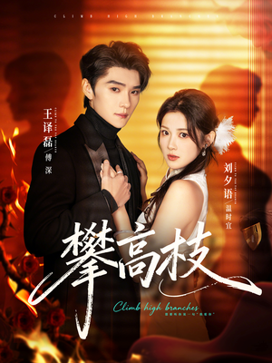 攀高枝（70集）好看的短剧抢先看