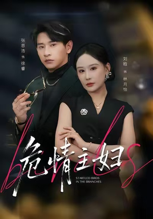 危情主妇（60集）好看又上头的短剧太解气了