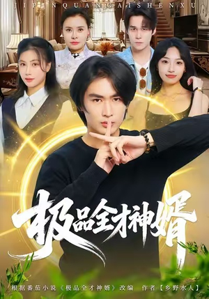 极品全才神婿（67集）一毛不花看完了整部短剧