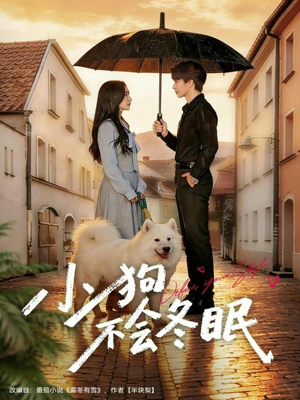 小狗不会冬眠（70集）红果短剧免费看剧