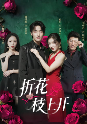 折花枝上开（51集）热门短剧推荐短剧片段