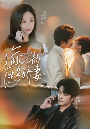 偷心劫匪是娇妻（61集）火爆短剧来袭好看又上头的短