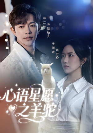 心语星愿之羊驼（60集）深夜短剧推荐精彩片段