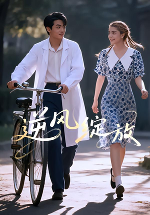 逆风绽放(55集) 逆风绽放(55集)精彩短剧看不停