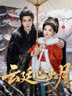 云廷心上月（80集）短剧流畅播放免费看