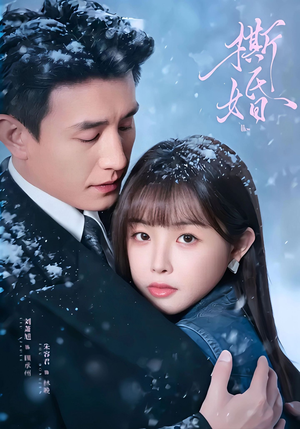 撕婚（23集）一键在线观看全集短剧