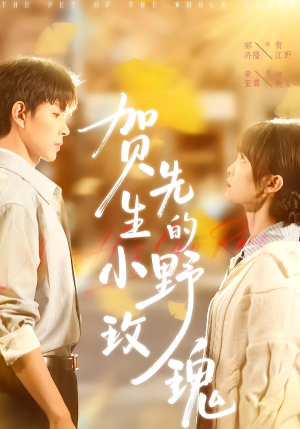 贺先生的小野玫瑰（99集）大结局一气呵成的短剧